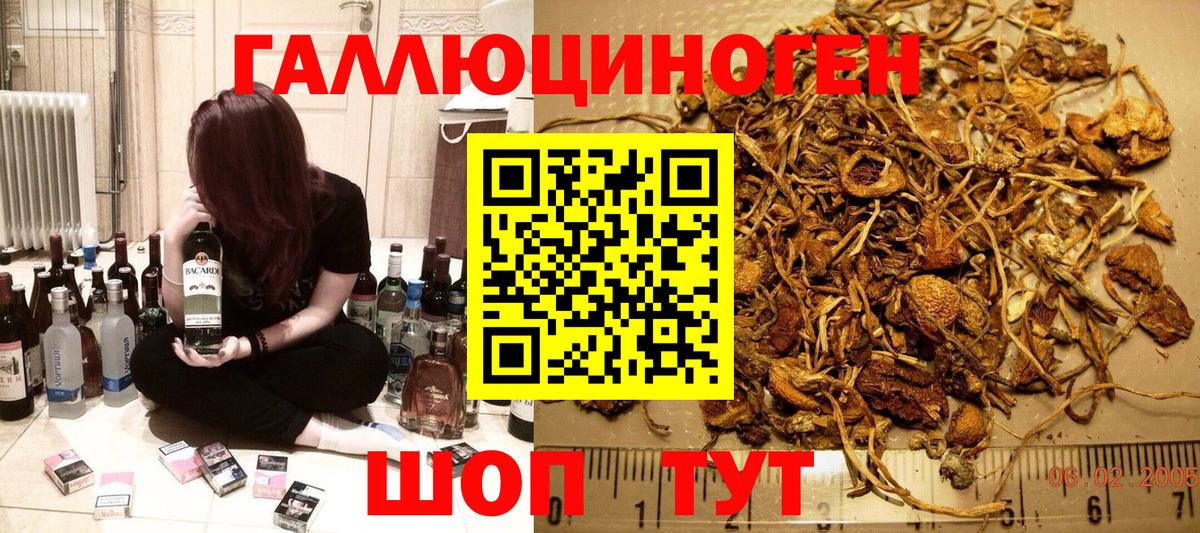 Псилоцибиновые грибы ЛСД  Вход с VPN  Галлюциногенные грибы Psilocybine cubensis  Лобня 