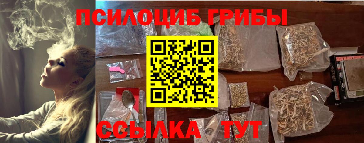 Галлюциногенные грибы Psilocybe Лобня